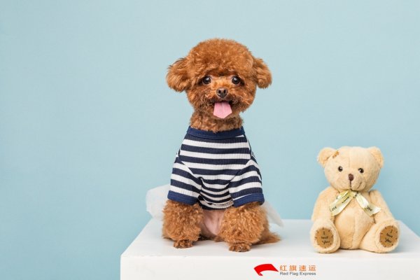 疫情期間香港商品如何轉運到河南商丘呢？